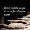 verochapa01