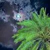 ae_____s10