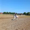 jenny1004_peach