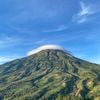 koinnya.ardan