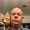 michaelsullivan228