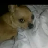 sherrykizim