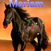 marioma10000