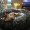 babylulu81945