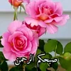 najmatihayati