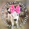 Willow Rock Cattle