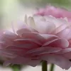 nadiasoussi8309