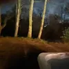 janetellen0