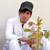 hikmatbahadar729