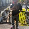 bigg_fern_909