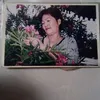 luuhongthoai