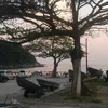 neivieira90