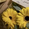alslimih0