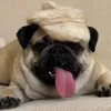 lermo71
