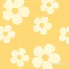 zhao_com
