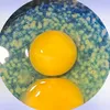 queoiuoi_06