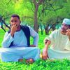 mahmooudahmed13