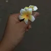 vido__black0
