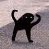 tinyarieswitch