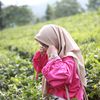 tri.pratiwi01