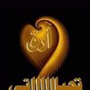user5058053498669