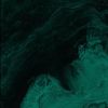 phtalopetrichor
