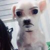 zzzyu_0