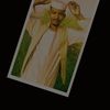 user86420381232508
