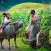 ourvietnam