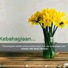 ummualfa_15