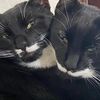 sebastian.and.lily