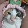 annadhhdh
