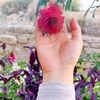rawaa_adel96