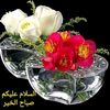 mushtaq_1272