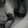 catiacipriani0
