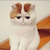 rosieposie911
