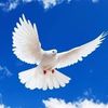 myhopeforgod20