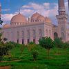 yasseruncle0