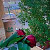 ahlam2679