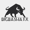 bigbasha