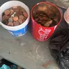 arazisade