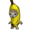 chillcungtoinhe0