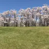 teruakiohta