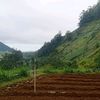 airputih_14