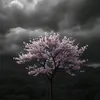 truong___03