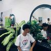 fadnul_19