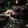 hoangle_123