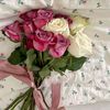 fatima.mohammed9162