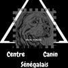 centre_canin_senegalais