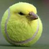 unjammer
